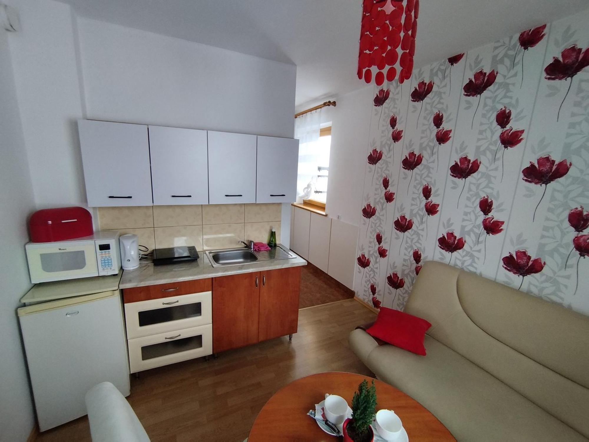 Tatrzanska Panorama Apartment Gliczarow Luaran gambar